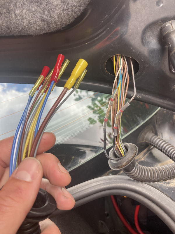 C41585A7-0711-488F-AFC3-9D968710B7A4