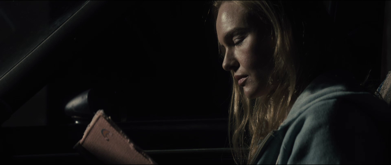 96451769_vlcsnap-2019-01-16-14h17m42s248