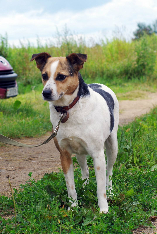 изображение_viber_2022-08-03_17-07-13-384