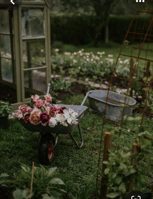 Screenshot_20240331_002227_Pinterest