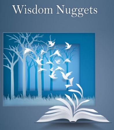 Nuggets-of-Wisdom.png