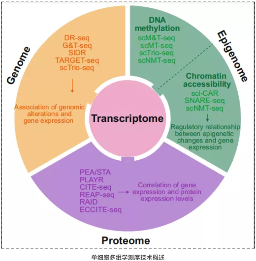 单细胞多组学研究-1.png