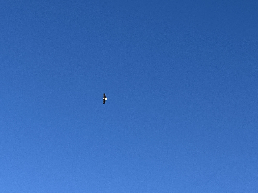IMG-0799.jpg