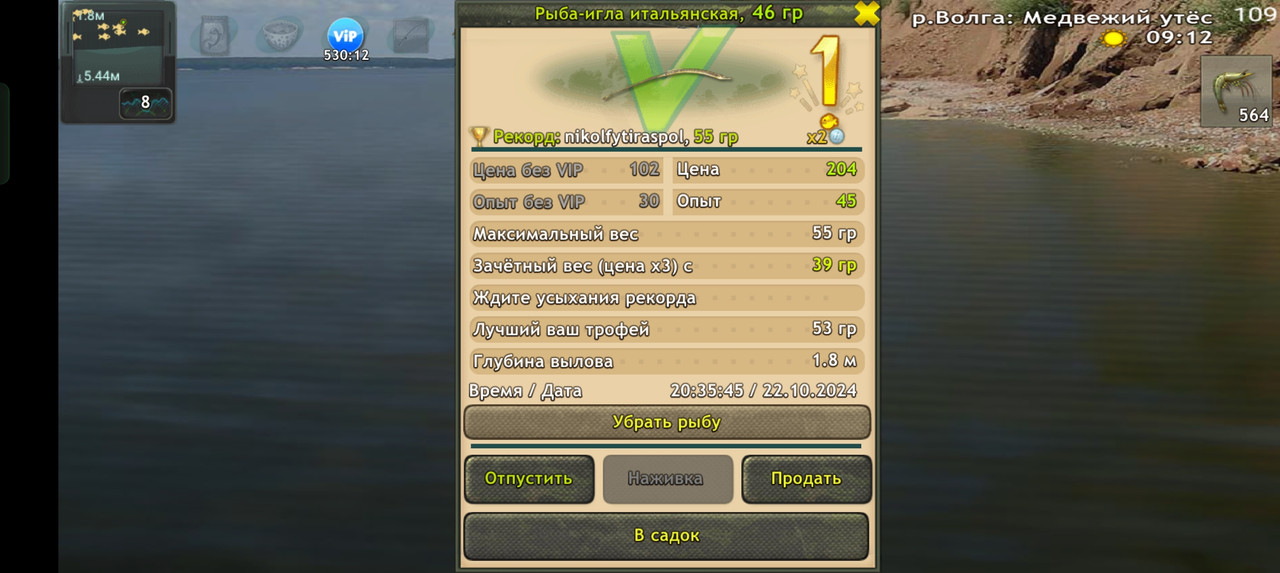 Screenshot-2024-10-22-20-36-00-13-fa28ee