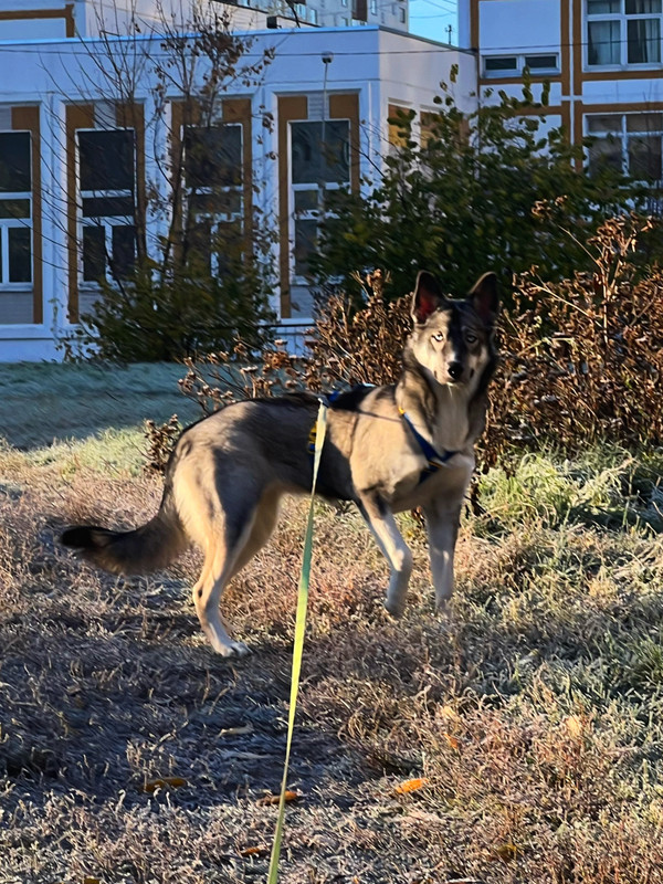 8D96E1A9-7693-4FDC-B7F7-75D22FFC30F1