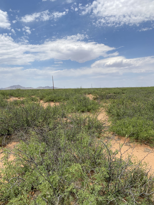 "Discover Your Oasis: 4.65 Acres in Horizon Ranches,  Luna County NM!"