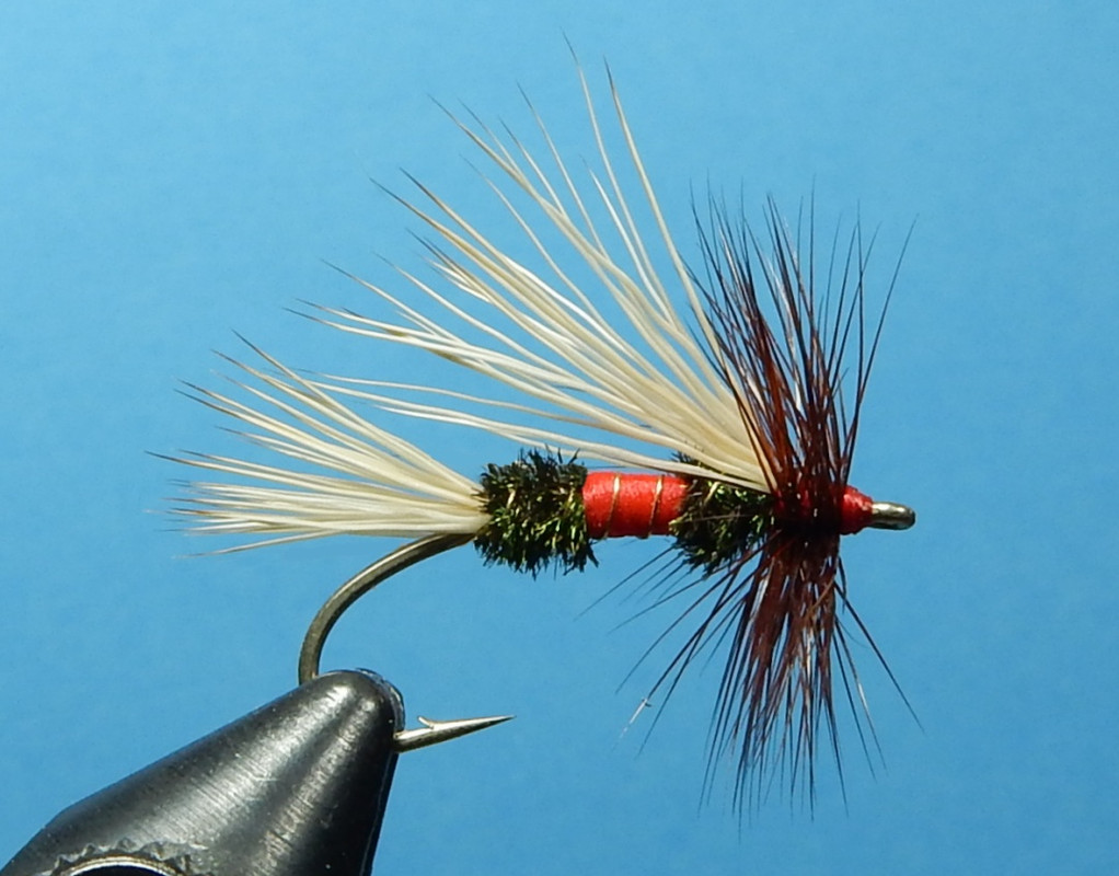 What have you been tying today?, Page 691
