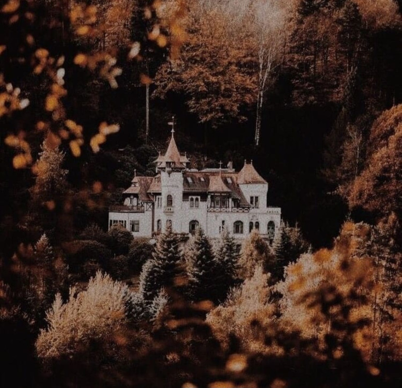 Screenshot_20231207_155600_Instagram