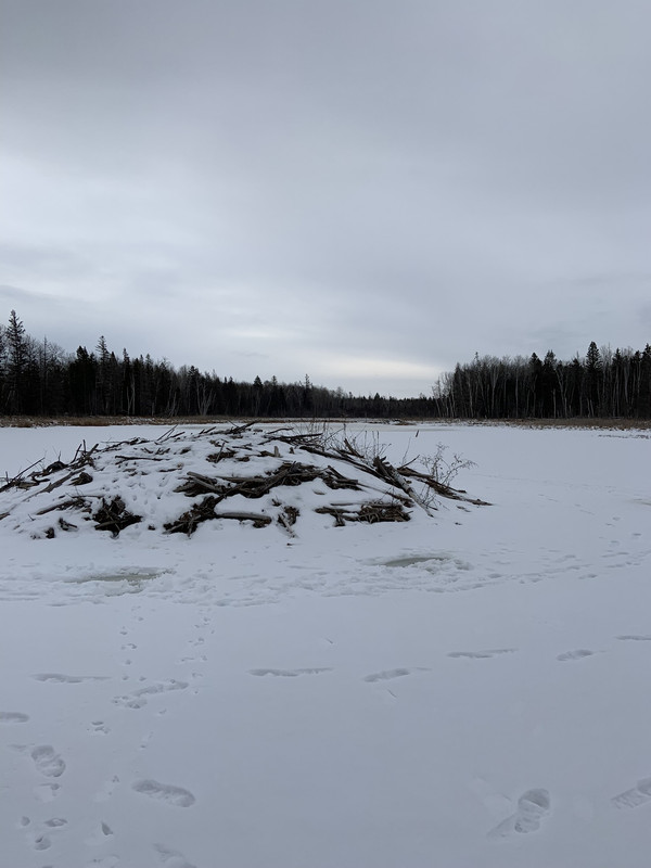 AE859774-835E-4AFD-B257-8083D76DC618