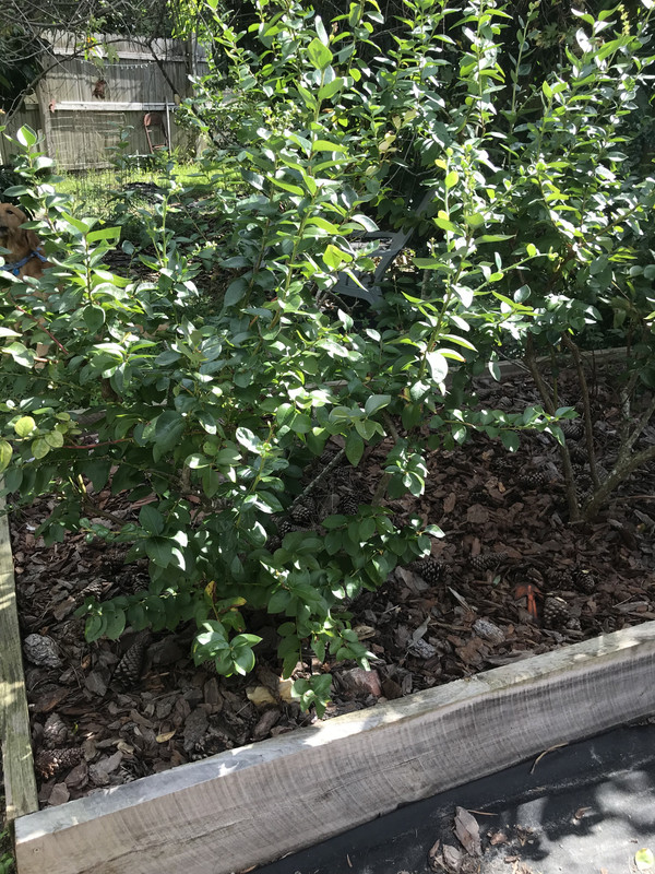 14503FE5-4C70-417C-A947-02BFBB232325