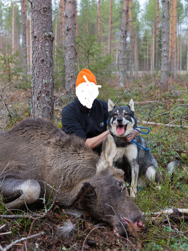 DM4A7391-2 – Kopio