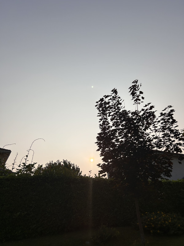 IMG-1352.jpg