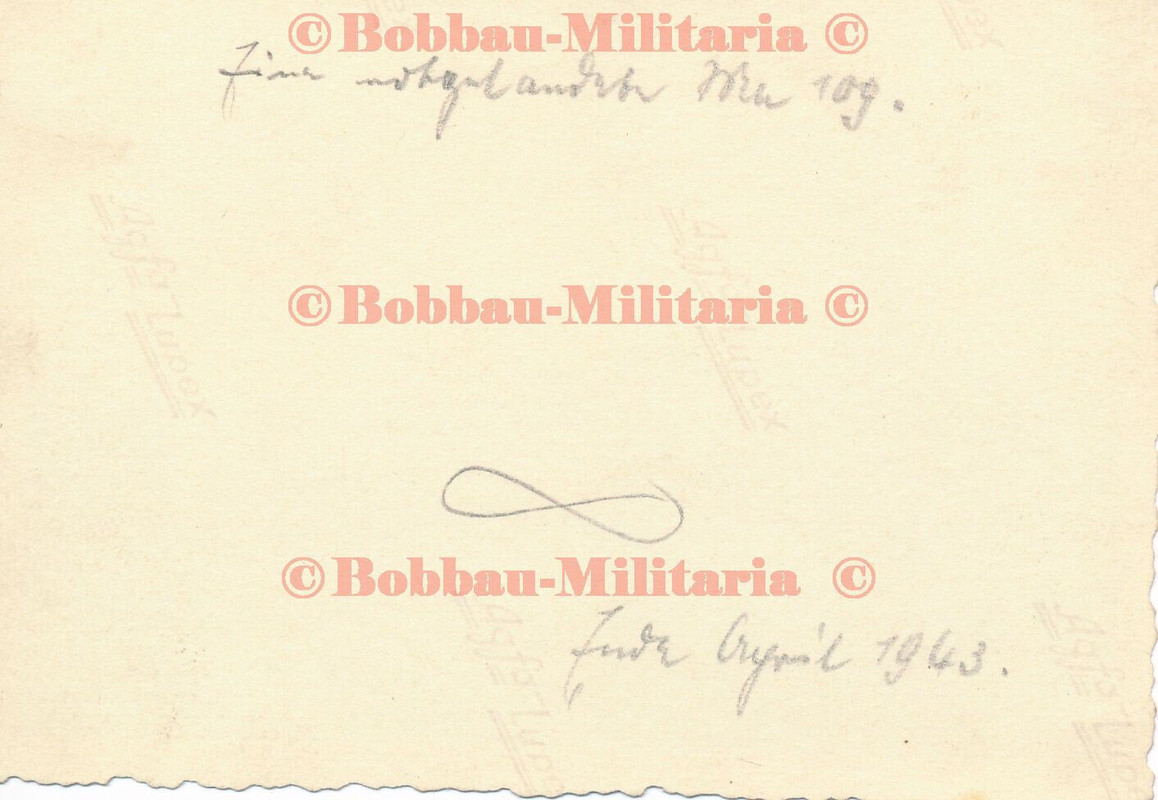 B95 Jagdflugzeug 1943 Messerschmitt Me Bf 109 Emblem Wappen III.- JG 52 crash (1)