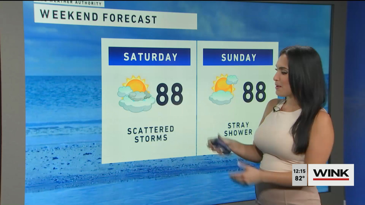 10.14 - 17.00.00 - The WINK Noon News  ᴺᵉʷ. Midday news update..ts_snapshot_21.34.048