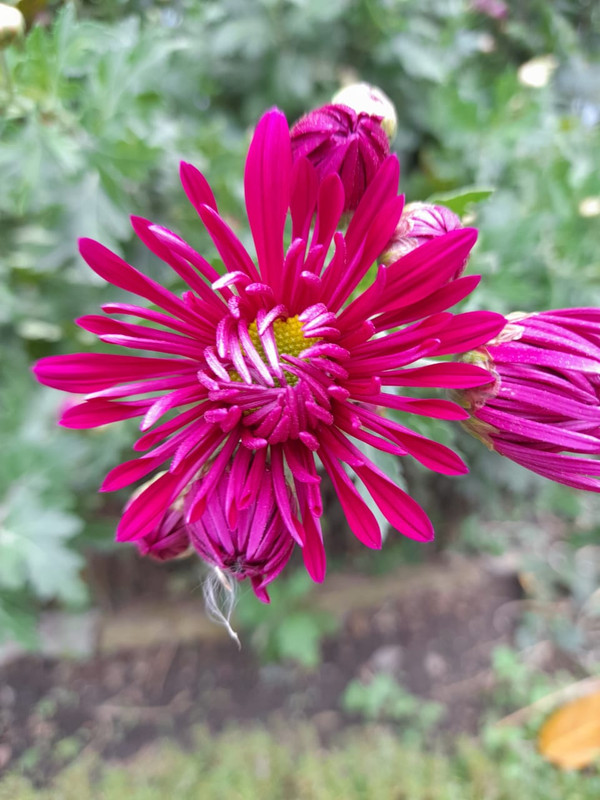 Изображение WhatsApp 2024-11-06 в 11.11.59_11d6b5ab