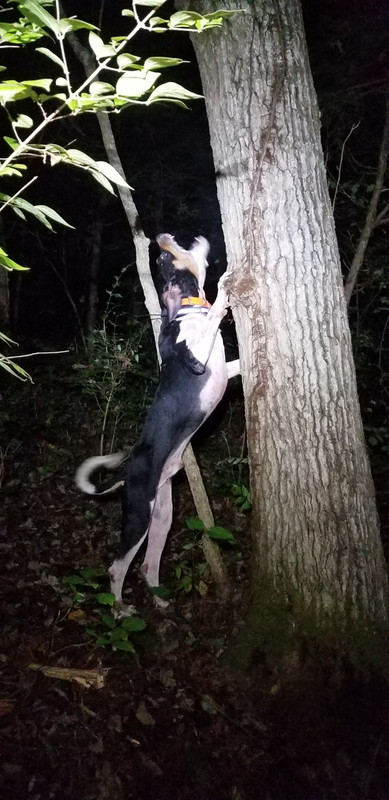 6B9480F7-39AB-488B-A4D7-423A0854213C