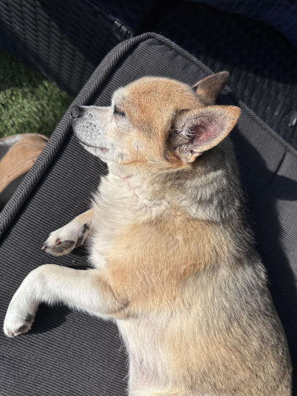 2478E29B-6CBB-485D-86AC-527B678B86FF