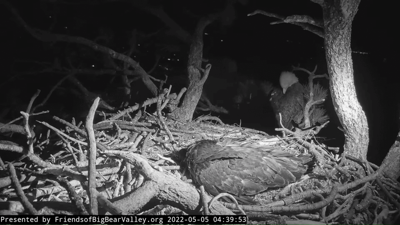 Webp.net-gifmaker (1)