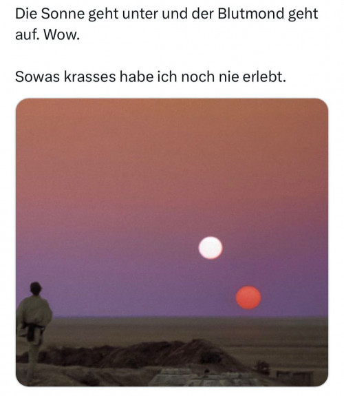 thumbs-picdump951-32.jpg