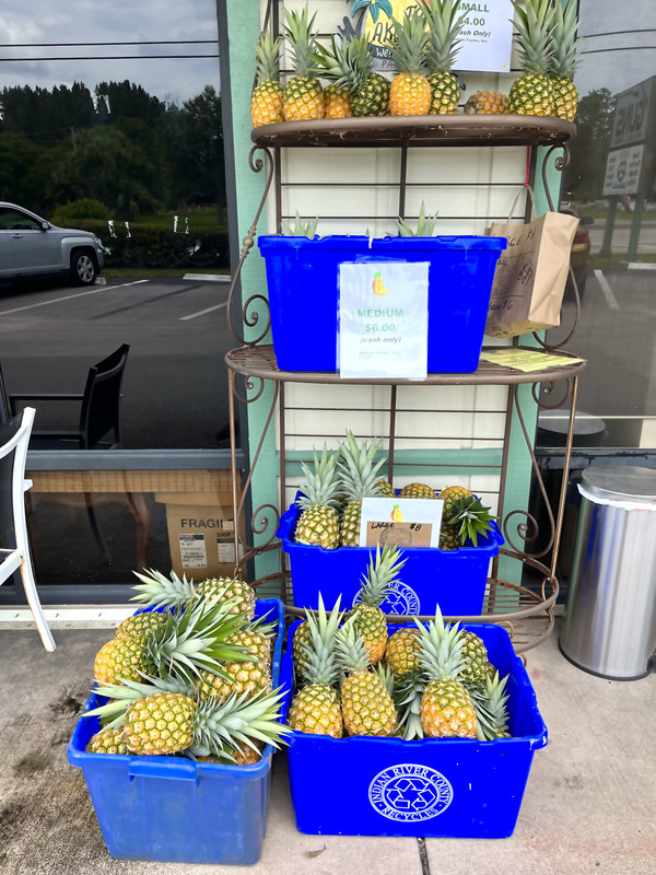 FED8C982-B11F-47E3-9AF7-5426BEE35CA8