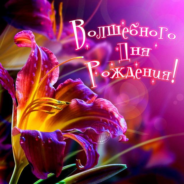 birthday-601