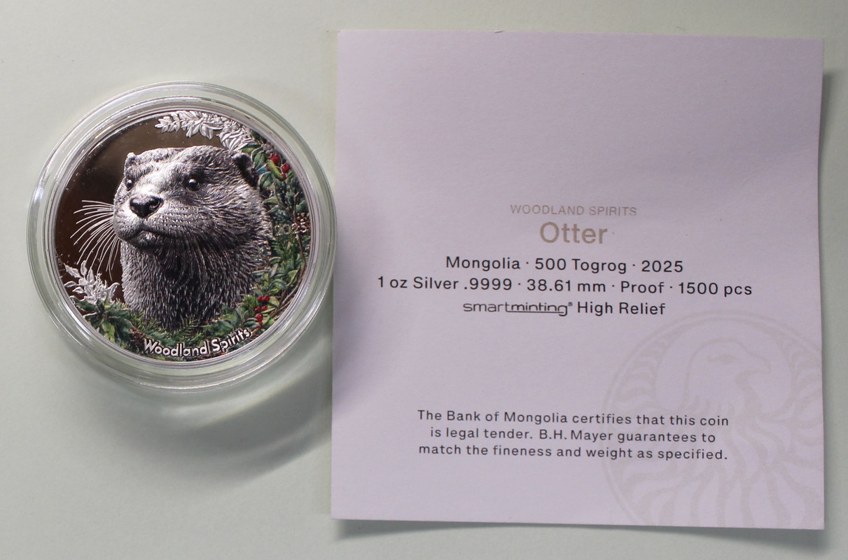 Mong-500-Otter-2025-A