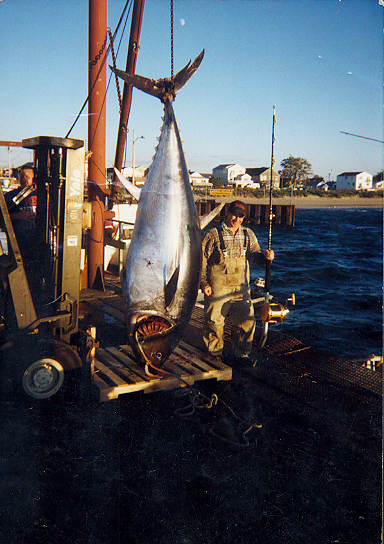 joe's tuna