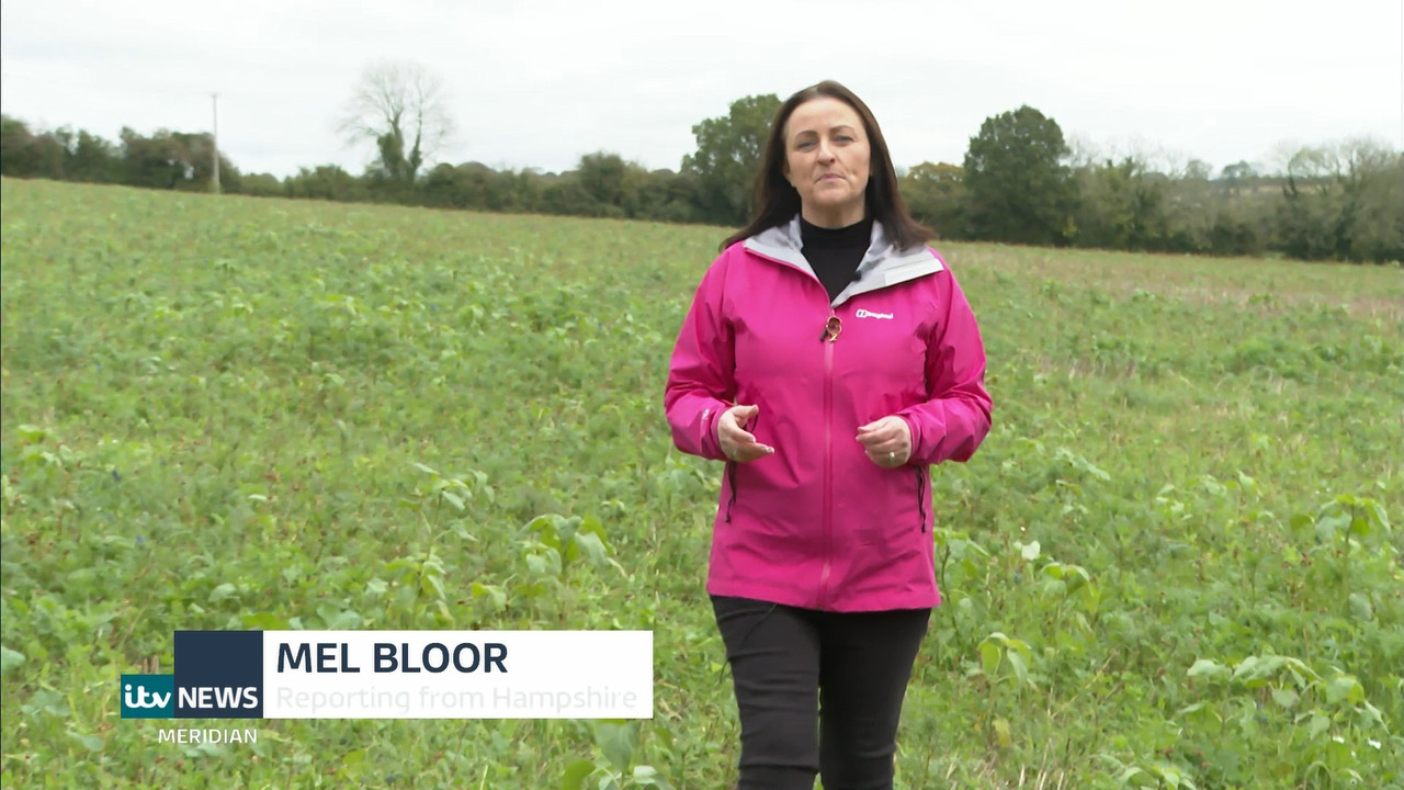 11.10 - 18.00.00 - ITV News London. The latest news in London and the....ts_snapshot_17.55.583