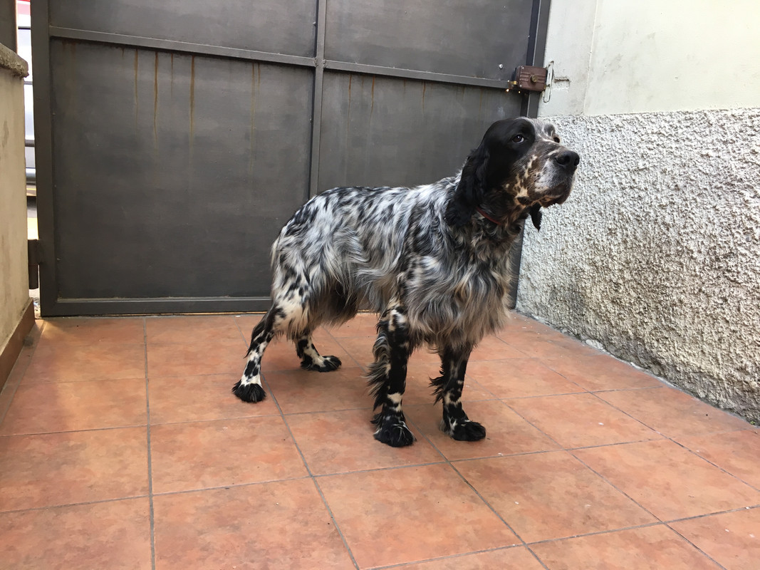 C606BDBA-6098-4DE8-A0F4-1BDDD8BC6188