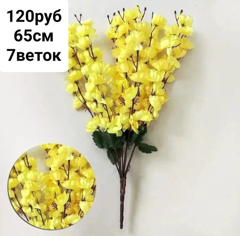 https://i.postimg.cc/1trZLCGB/IMG-20240409-073648.jpg