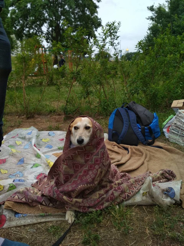 Лиза на акции2