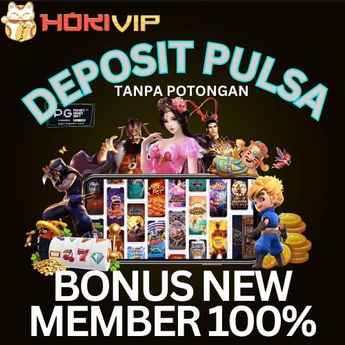 hokivip
