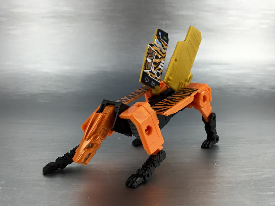 13432226_876044952522911_8691376202311011239_n