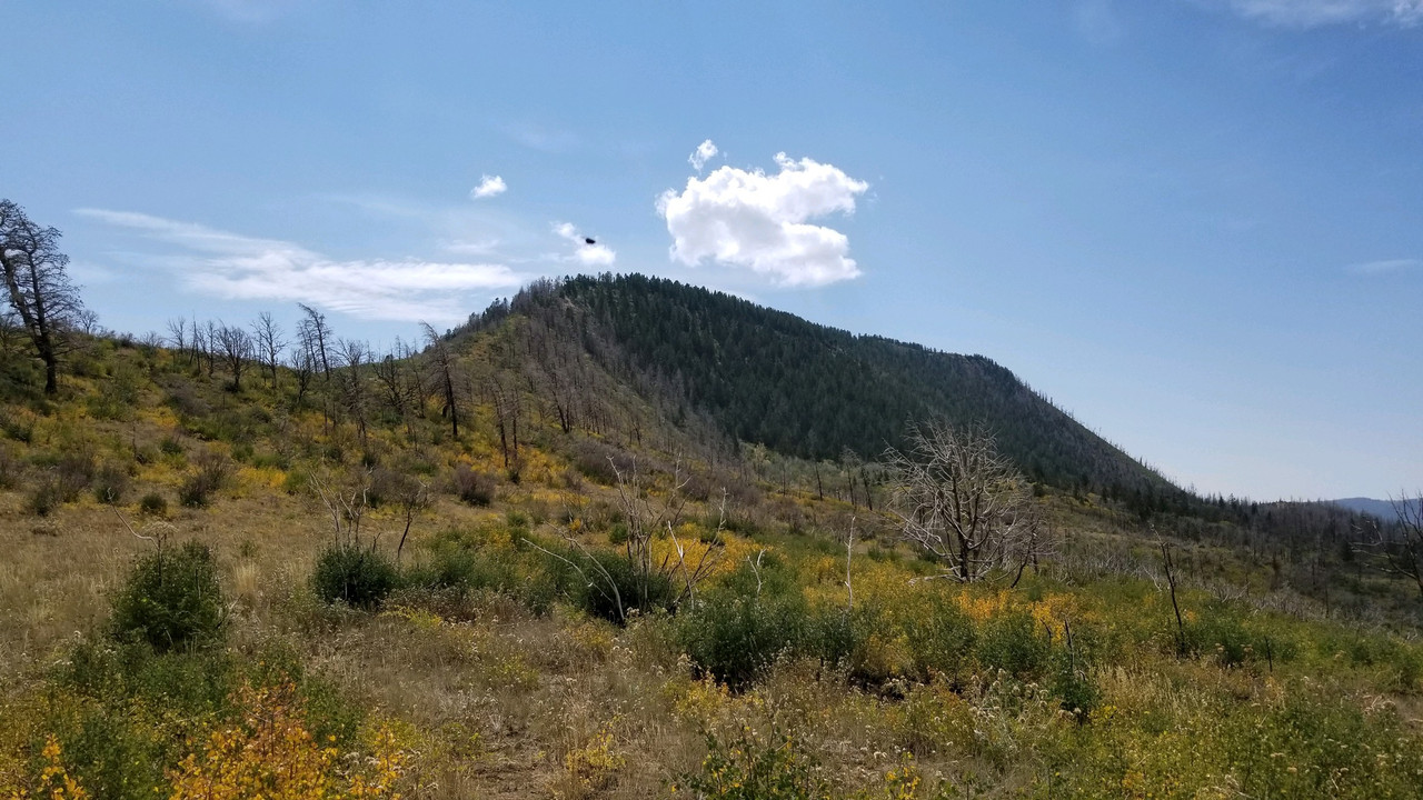 4DB0CDF7-2FE6-44E2-9D24-A29E2FA54937