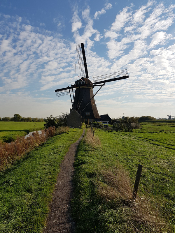 Pieter, Kleine of Lage Molen 05 Nieuw-Lekkerland (Kinderdijk) 16