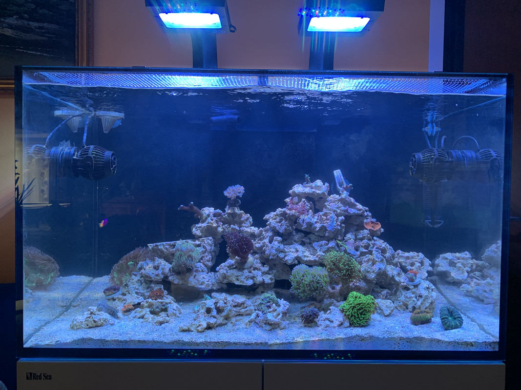 832DD44D-2107-4286-87A7-11E20E21D077