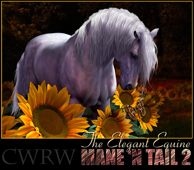 CWRW The Elegant Equine Mane 'N Tail Pack 2