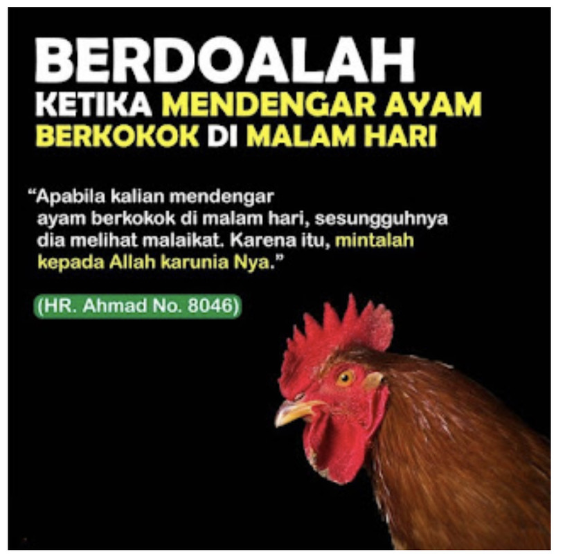 793AAD70-F727-4EA5-87FF-E81F71F62DB7