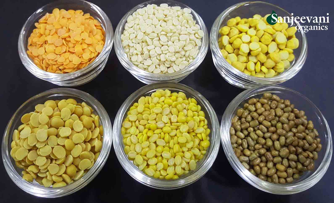 Sanjeevani Organic cereals and pulses (Dal) food - India