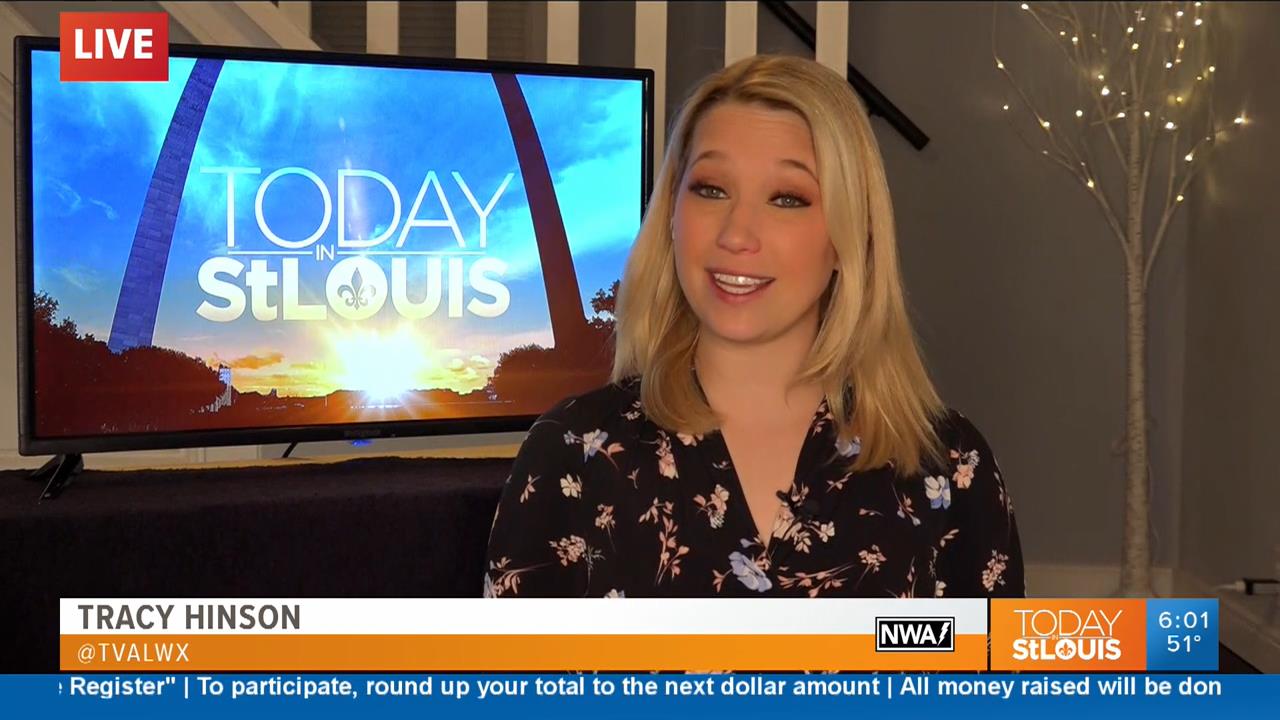 19 April - 12.00.00 - Today in St. Louis Weekend Edition. News.ts_snapshot_00.05.52_[2020.04.19_13.0