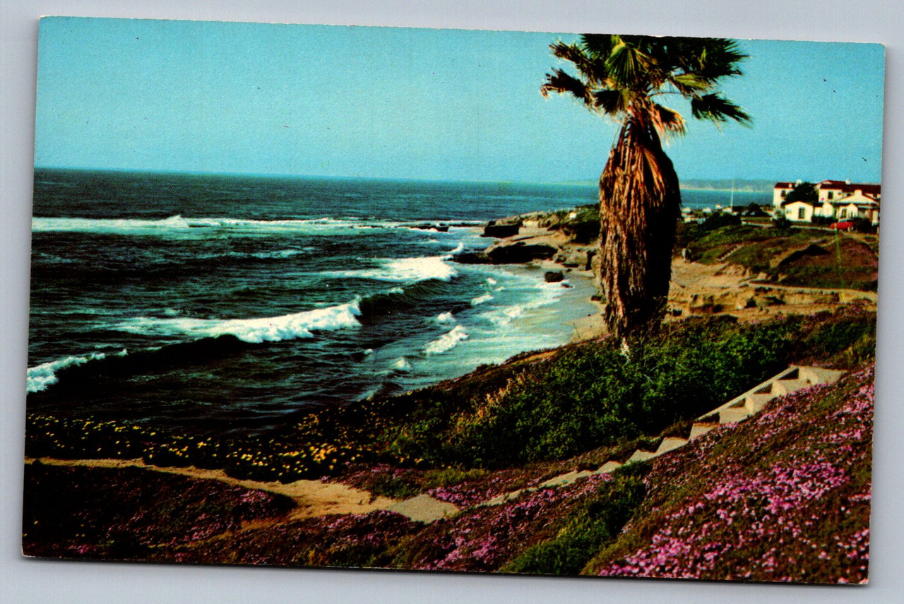 Postcards 05 24 26 0089