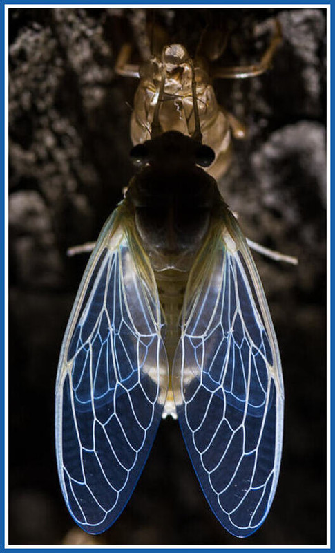 5146ED74-33C1-45F6-B280-940AC2409CD4