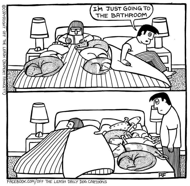 EF616862-10C9-4462-A5D2-EB69320F8721