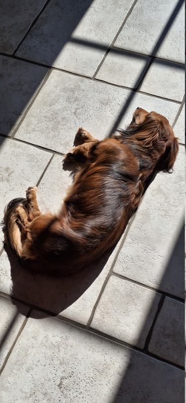 [Image: 20251017-142305.jpg]