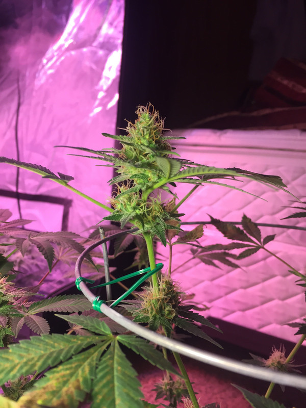 0E1A8590-700D-4C83-911F-04D86966E4F2