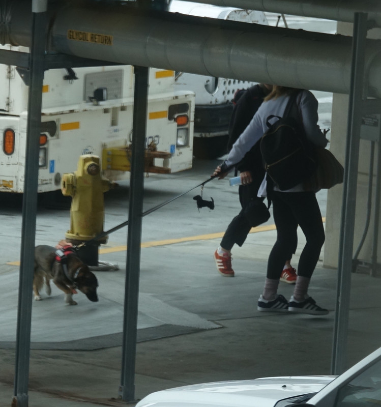 emmawatson-photogallery.blogspot.com (15)