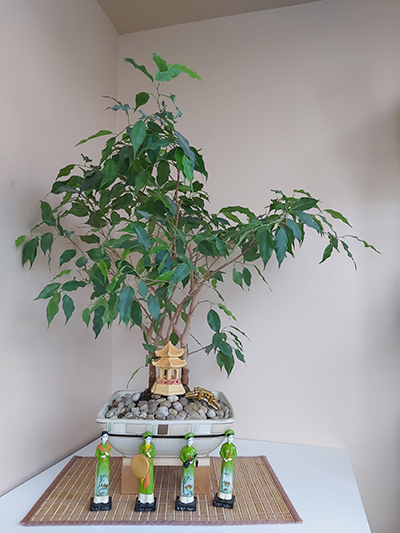 [Image: 20200709-115103.jpg]