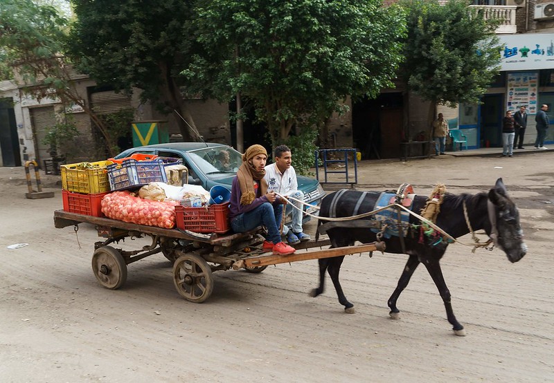 people-cairo.jpg
