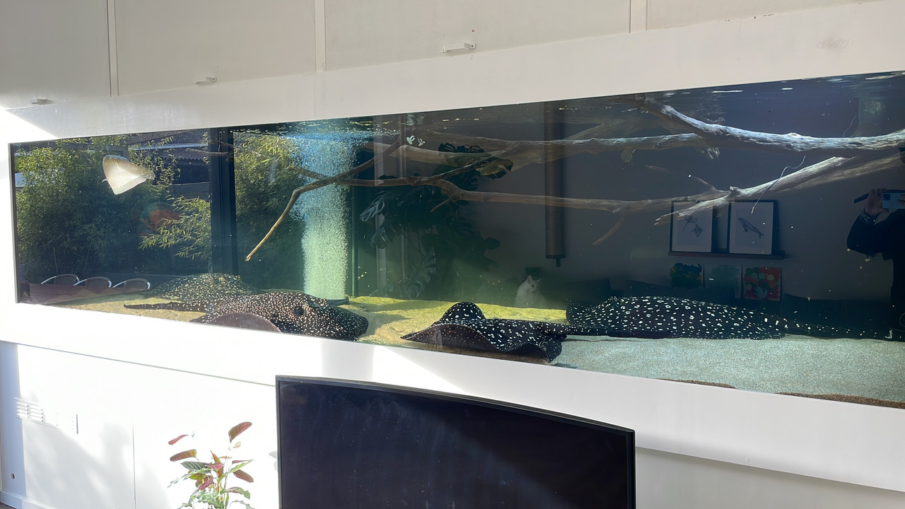 554A1701-C8C4-426B-9A14-C65D9EB72E4E