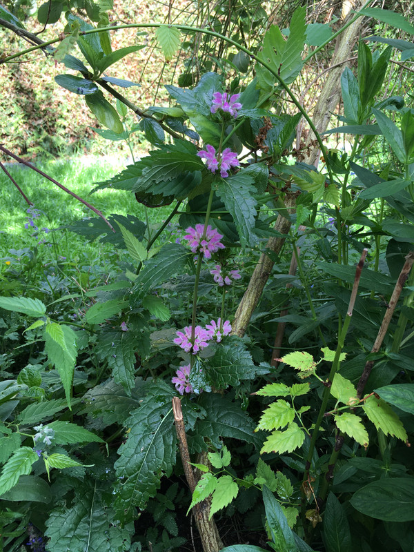 0AF1FBEF-0E09-4A3E-9669-7A2ADE3845AE